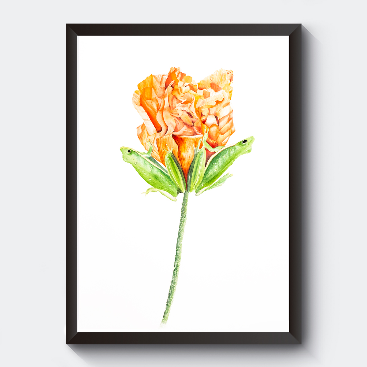 Vallmoblomma med grodor som blad i akvarell.